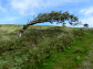 Great Mell Fell